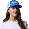Columbia Unisex Adult PFG Logo Mesh Ball Cap(Vivid Blue/Cool Grey/Us Fish Flag)