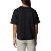 Columbia Womens North Cascades Relaxed Tee(Black/Centered Gem Textured Mountain)