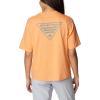 Columbia Womens North Cascades Relaxed Tee(Bright Nectar  Tranq Teal Pfg Triangle)