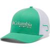 Electric Turquoise/Cool Grey/Hook