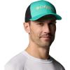 Glaze Green/Shark/Dorado