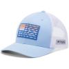 Sail  Vivid Blue  Fish Flag Fade