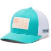 Turquoise/Offshore Slam Flag