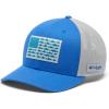 Vivid Blue/Cool Grey/Us Fish Flag