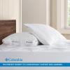 Columbia Comfort Ice Fiber Side Sleeper Down Alternative Bed Pillow with Polyester Fiberfill, Supportive Cooling Double Sided Breathable Cover (Back & Stomach Sleeper, Standard/Queen (Pack of 1))(Side Sleeper)