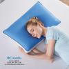 Columbia Cooling Gel Memory Foam Pillow – Comfortable and Supportive with Cooling & Breathable Features – Removable Washable Cover, Queen(Queen)