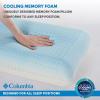Columbia Cooling Gel Memory Foam Pillow – Comfortable and Supportive with Cooling & Breathable Features – Removable Washable Cover, Queen(Queen)
