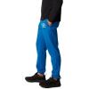 Columbia Mens Trek Jogger(Bright Indigo  College Life Mini Logo)