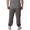 Columbia Mens Trek Jogger(Charcoal Heather/Boxy Brand)