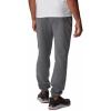 Columbia Mens Trek Jogger(City Grey Heather/Vertical Logo)