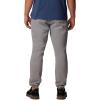 Columbia Mens Trek Jogger(Columbia Grey Heather  College Life Mini)