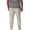 Columbia Mens Trek Jogger(Dark Stone/Boxy Brand)