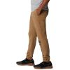 Columbia Mens Trek Jogger(Delta Heather/Vertical Logo)