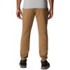 Columbia Mens Trek Jogger(Delta Heather/Vertical Logo)