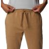 Columbia Mens Trek Jogger(Delta Heather/Vertical Logo)