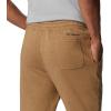 Columbia Mens Trek Jogger(Delta Heather/Vertical Logo)