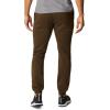 Columbia Mens Trek Jogger(Olive Green/Ancient Fossil)