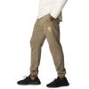Columbia Mens Trek Jogger(Stone Green/Mango Stacked Gem)