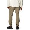 Columbia Mens Trek Jogger(Stone Green/Mango Stacked Gem)