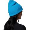 Columbia Unisex-Adult City Trek Heavyweight Beanie(Compass Blue/Icons)