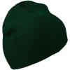 Columbia Unisex-Adult Whirlibird Watch Cap Beanie(Spruce)
