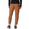 Columbia Womens Columbia Hike Pant(Camel Brown)