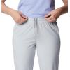Columbia Womens Columbia Hike Pant(Cirrus Grey)