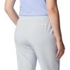 Columbia Womens Columbia Hike Pant(Cirrus Grey)