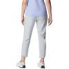 Columbia Womens Columbia Hike Pant(Cirrus Grey)