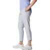 Columbia Womens Columbia Hike Pant(Cirrus Grey)