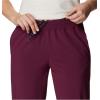 Columbia Womens Columbia Hike Pant(Marionberry)