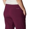 Columbia Womens Columbia Hike Pant(Marionberry)