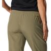 Columbia Womens Columbia Hike Pant(Stone Green)