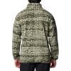 Columbia mens Helvetia Ii Printed Half Snap Fleece(Greenscape Stippled Stripe)