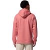 Columbia mens Pfg Fish Flag II Hoodie(Rosewood/White Usa)