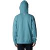 Columbia mens Pfg Fish Flag II Hoodie(Tranquil Teal/Orange Reef Trout Flies)