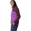 Columbia womens Benton Springs 1/2 Snap Pullover(Razzle/Moonvista)