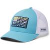 Columbia Unisex Unisex PFG Fish Flag Mesh Snap Back Hat, Vintage Blue/White/Fish Flag, One Size