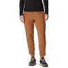 Columbia Womens Columbia Hike Pant(Camel Brown)