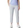 Columbia Womens Columbia Hike Pant(Cirrus Grey)