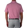 Columbia Golf Men’s Omni-Wick Stroll Polo(Beet)