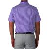 Columbia Golf Men’s Omni-Wick Stroll Polo(Purple)