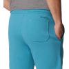Columbia Mens Columbia Trek Short(Shasta  Vertical Logo)