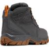 Columbia Men’s Discontinued Newton Ridge Plus II Suede Waterproof Hiking Boot(Dark Grey/Gold Amber)
