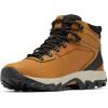Columbia Men’s Discontinued Newton Ridge Plus II Waterproof Hiking Boot(Elk/Black)
