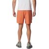 Columbia Men’s Hike Brief Short(Desert Orange)