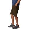Columbia Mens Palmerston Peak ShortSwim Trunks(Olive Green)