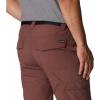 Columbia Men’s Silver Ridge Cargo Pant(Light Raisin)