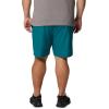 Columbia Men’s Summertide Stretch Shorts(River Blue)