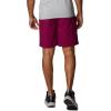 Columbia Men’s Washed Out Cargo Short(Red Onion)